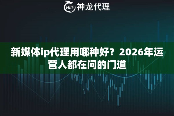 新媒体ip代理用哪种好？2026年运营人都在问的门道