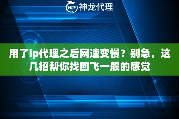 用了ip代理之后网速变慢？别急，这几招帮你找回飞一般的感觉