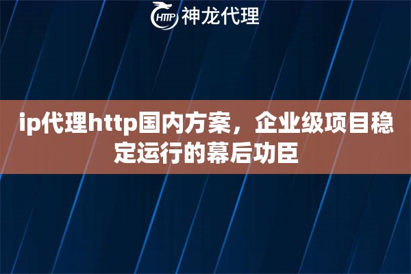 ip代理http国内方案，企业级项目稳定运行的幕后功臣