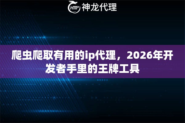 爬虫爬取有用的ip代理，2026年开发者手里的王牌工具