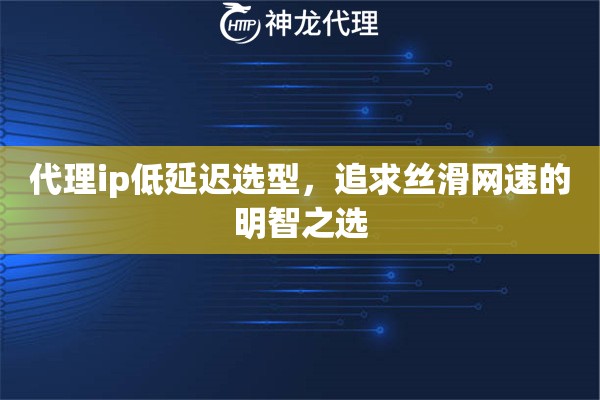 代理ip低延迟选型，追求丝滑网速的明智之选