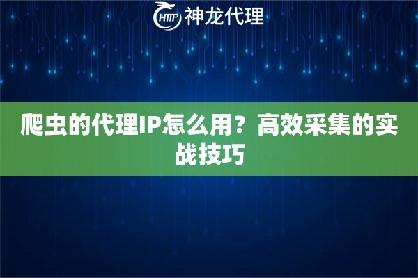 爬虫的代理IP怎么用？高效采集的实战技巧