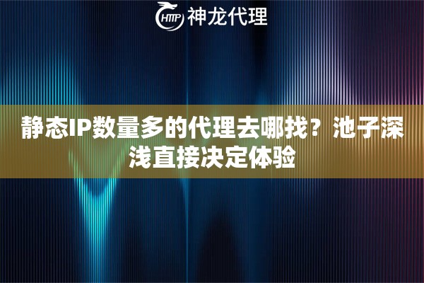 静态IP数量多的代理去哪找?池子深浅直接决定体验 静态IP数量多的代理去哪找?池子深浅直接决定体验