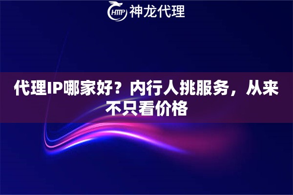 代理IP哪家好？内行人挑服务，从来不只看价格
