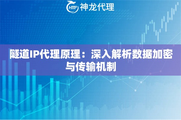 隧道IP代理原理：深入解析数据加密与传输机制