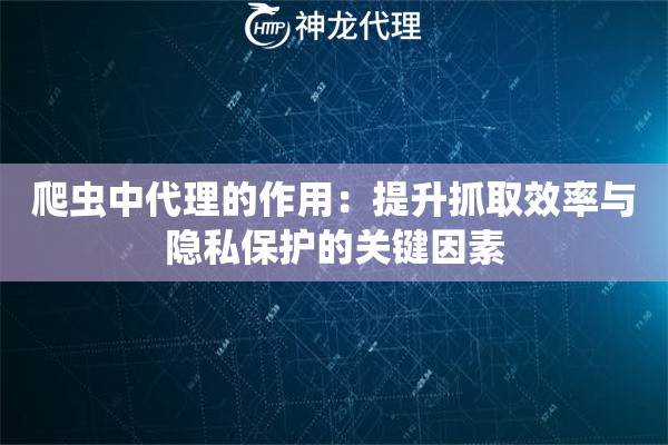 爬虫中代理的作用：提升抓取效率与隐私保护的关键因素