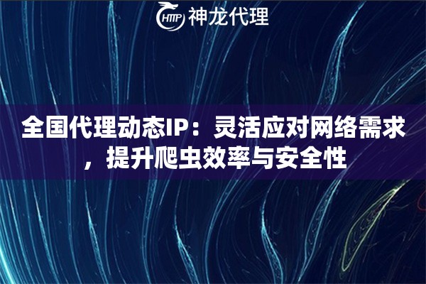 全国代理动态IP：灵活应对网络需求，提升爬虫效率与安全性