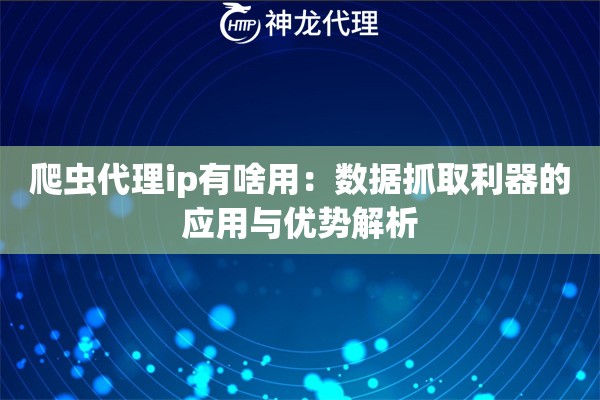 爬虫代理ip有啥用：数据抓取利器的应用与优势解析