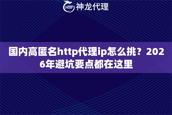 国内高匿名http代理ip怎么挑？2026年避坑要点都在这里