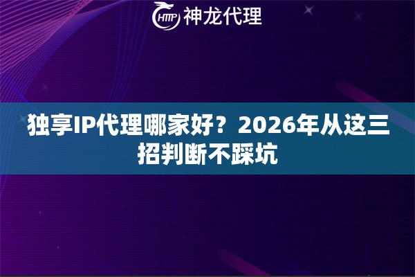 独享IP代理哪家好？2026年从这三招判断不踩坑