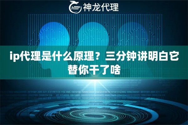 ip代理是什么原理？三分钟讲明白它替你干了啥