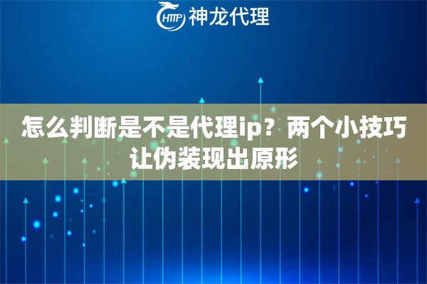 怎么判断是不是代理ip？两个小技巧让伪装现出原形