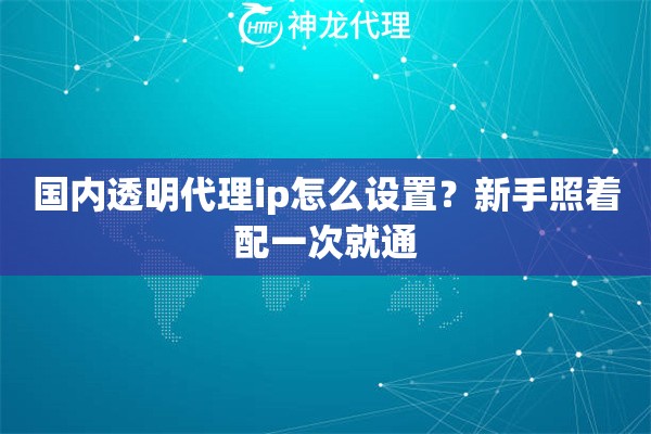 国内透明代理ip怎么设置？新手照着配一次就通
