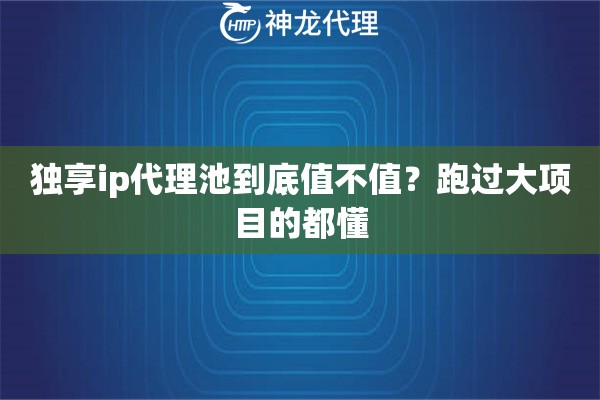 独享ip代理池到底值不值?跑过大项目的都懂 独享ip代理池到底值不值?跑过大项目的都懂