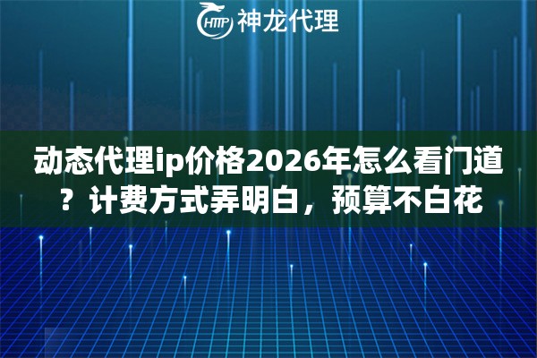 动态代理ip价格2026年怎么看门道？计费方式弄明白，预算不白花