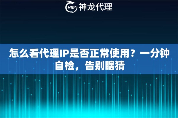 怎么看代理IP是否正常使用？一分钟自检，告别瞎猜