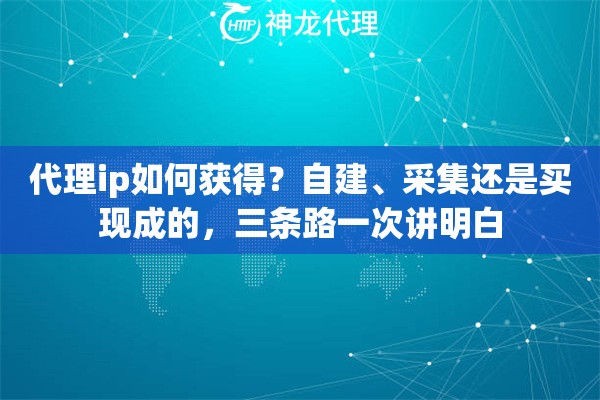 代理ip如何获得？自建、采集还是买现成的，三条路一次讲明白