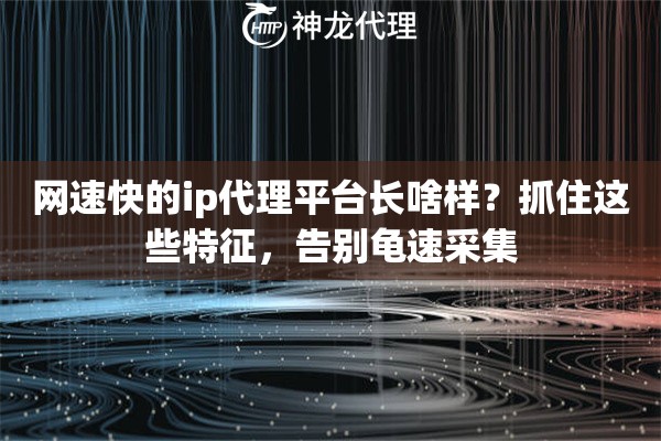 网速快的ip代理平台长啥样？抓住这些特征，告别龟速采集