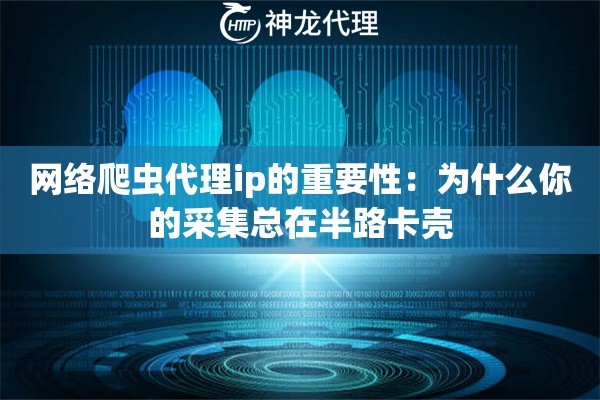 网络爬虫代理ip的重要性：为什么你的采集总在半路卡壳