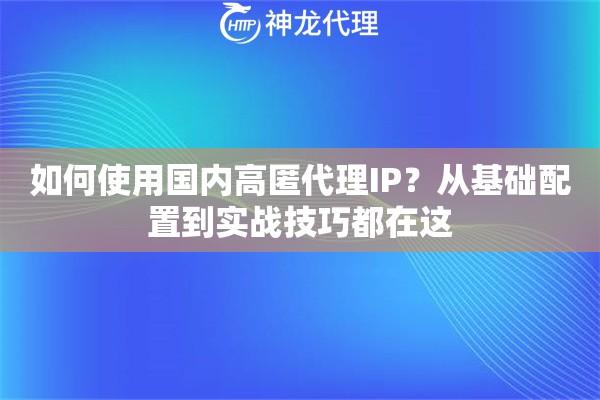 如何使用国内高匿代理IP？从基础配置到实战技巧都在这