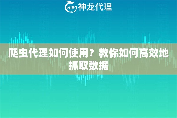 爬虫代理如何使用？教你如何高效地抓取数据