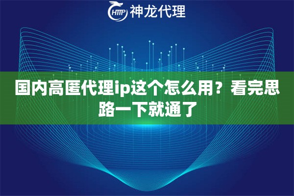 国内高匿代理ip这个怎么用？看完思路一下就通了