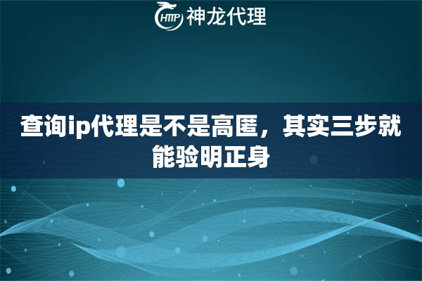 查询ip代理是不是高匿，其实三步就能验明正身
