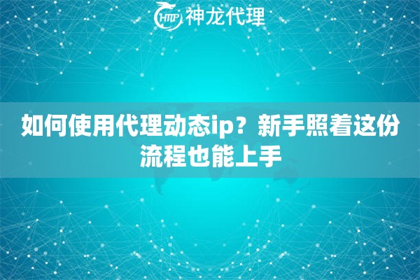 如何使用代理动态ip?新手照着这份流程也能上手 如何使用代理动态ip?新手照着这份流程也能上手
