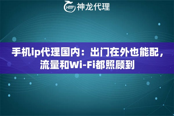 手机ip代理国内：出门在外也能配，流量和Wi-Fi都照顾到