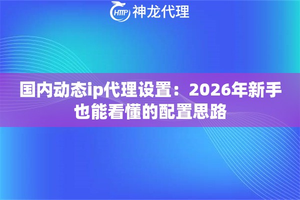 国内动态ip代理设置：2026年新手也能看懂的配置思路