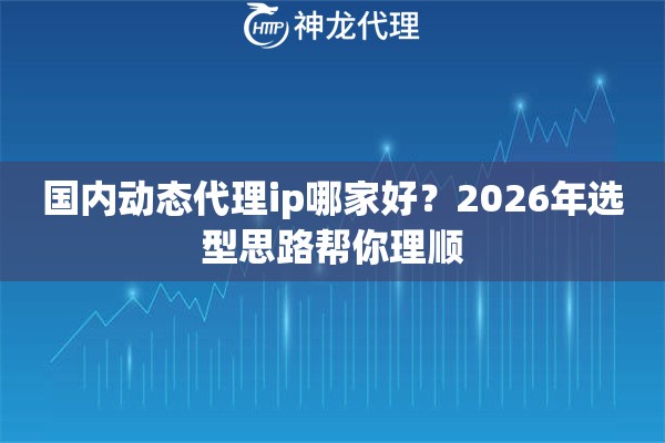 国内动态代理ip哪家好？2026年选型思路帮你理顺
