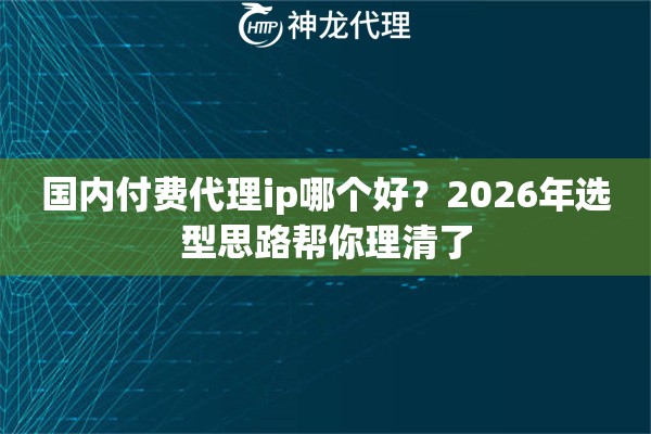 国内付费代理ip哪个好？2026年选型思路帮你理清了