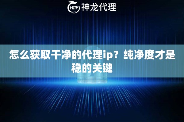 怎么获取干净的代理ip？纯净度才是稳的关键