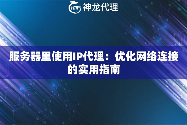 服务器里使用IP代理：优化网络连接的实用指南