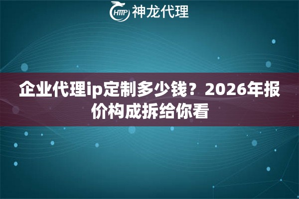 企业代理ip定制多少钱？2026年报价构成拆给你看