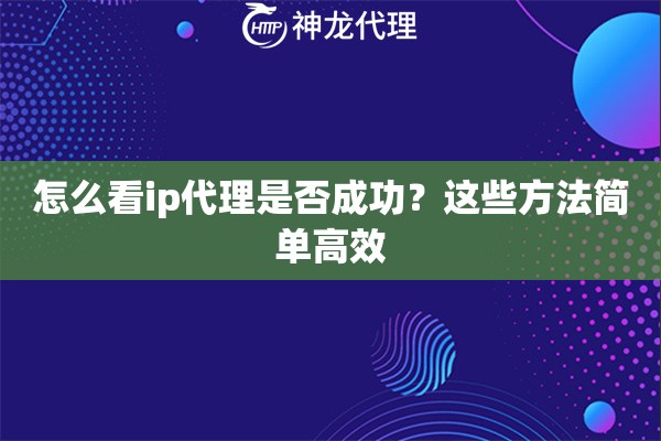 怎么看ip代理是否成功？这些方法简单高效