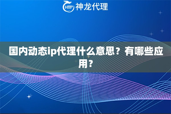 国内动态ip代理什么意思？有哪些应用？