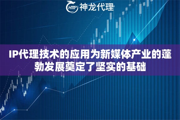 IP代理技术的应用为新媒体产业的蓬勃发展奠定了坚实的基础