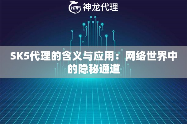 SK5代理的含义与应用：网络世界中的隐秘通道