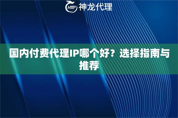 国内付费代理IP哪个好？选择指南与推荐