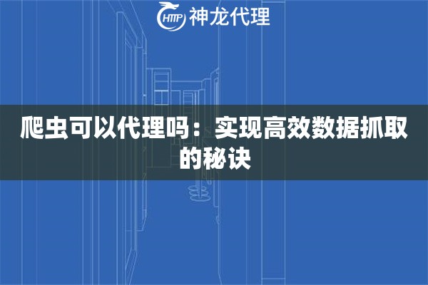 爬虫可以代理吗：实现高效数据抓取的秘诀