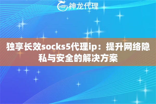 独享长效socks5代理ip：提升网络隐私与安全的解决方案