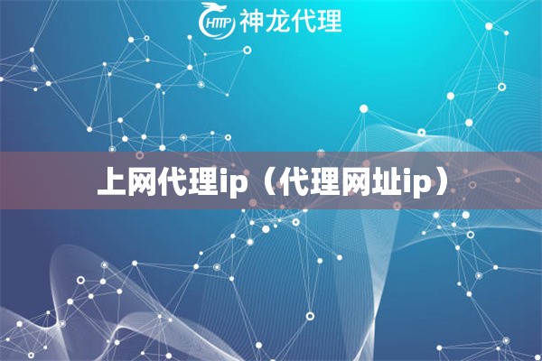 上网代理ip（代理网址ip）