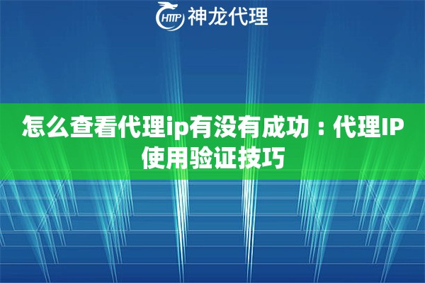 怎么查看代理ip有没有成功 : 代理IP使用验证技巧