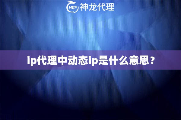 ip代理中动态ip是什么意思？