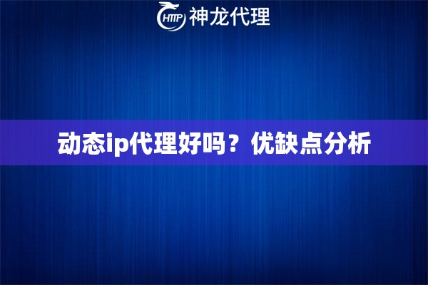 动态ip代理好吗？优缺点分析