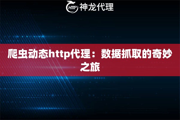 爬虫动态http代理：数据抓取的奇妙之旅