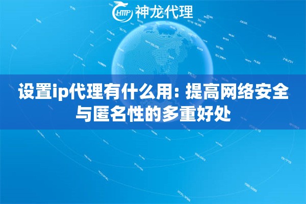 设置ip代理有什么用: 提高网络安全与匿名性的多重好处