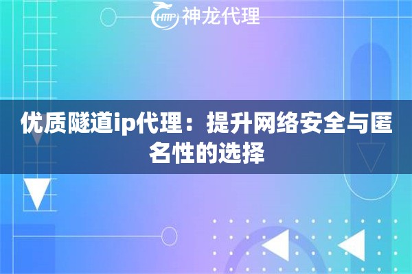 优质隧道ip代理：提升网络安全与匿名性的选择