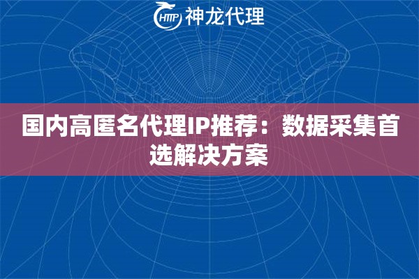 国内高匿名代理IP推荐：数据采集首选解决方案